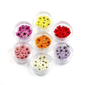 Set of seven colorful dried nail art flowers in clear containers on a white background
