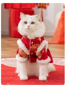 Close-up of red cat Tang suit with white faux fur collar and gold cloud embroidery details