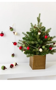 Close-up of handmade red, green and beige wool felt acorn ornaments hanging on a small tree