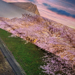 Close-up of bohemian tapestry showing cherry blossoms and Mount Fuji on woven fabric