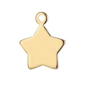 Macro shot of a polished gold-plated stainless steel star pendant for DIY jewelry