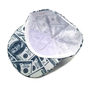 Detail view of the flat brim underside and inner lining with dollar bill print pattern