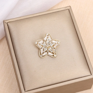 Exquisite gold star brooch featuring sparkling zircon stones on a beige velvet gift box
