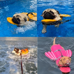 Gilet de sauvetage réfléchissant pour chien avec ailes d'ange pour baignade sécurisée