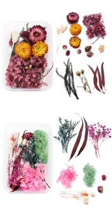 DIY floral kit featuring colorful preserved dried flowers and leaves in a box