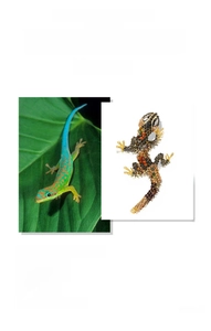 Detail view of crystal lizard brooch featuring multi-colored rhinestones and realistic scales