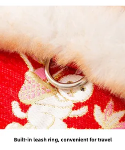 Macro shot of pet Lunar New Year costume featuring red embroidery and metal D-ring buckle
