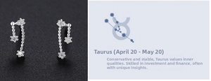 Macro detail of Taurus constellation 999 sterling silver stud earrings with zircon