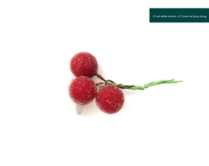 Detailed view of frosted red berries with crystalline texture and green wire stems