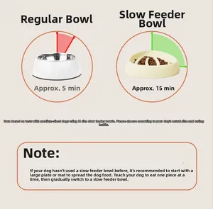 Comparison showing slow feeder bowl extending pet eating time from 5 to 15 minutes