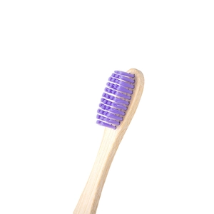 Eco-friendly bamboo toothbrush with soft purple nylon bristles on a clean white background