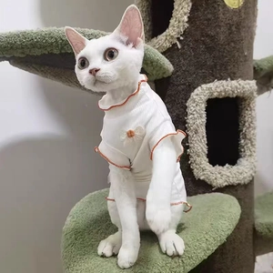 Vestido blanco para gato con borde naranja y volantes en cuello y mangas