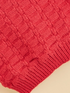 Close-up of red knit pet sweater showing detailed texture and warm fabric material