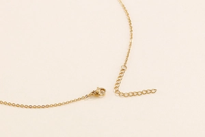 Detail of gold titanium steel necklace with adjustable lobster clasp and extension chain