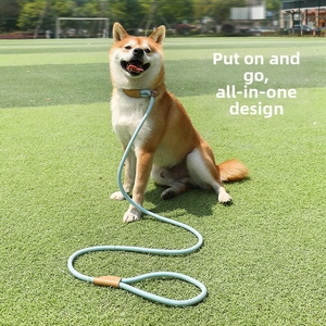 Detail view of light blue woven pet leash with brown leather accents on Shiba Inu