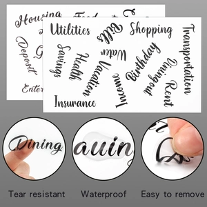 Waterproof and tear resistant budget stickers with elegant black cursive categories