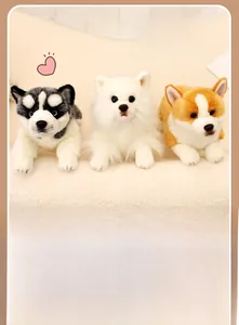 Detailed trio of plush Husky Samoyed and Corgi dogs on a soft cream background