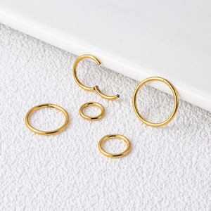 Titanium Hinged Segment Ring Smooth Nose Hoop Lip Piercing Earring Jewelry For Women Men Hypoallergenic European Style