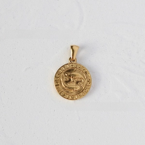 Macro detail of a 18K gold plated Pisces coin pendant with embossed zodiac symbols