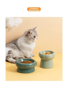 Ceramic elevated cat bowls in deep teal and light green for food and water