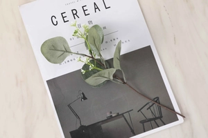 Close-up of artificial eucalyptus branch with white berries on a minimalist magazine