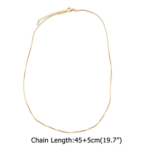 Golden chain necklace 45 plus 5cm length displayed on a clean white background