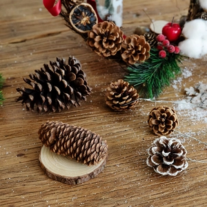Natural pine cones assortment with snowy finish for DIY Christmas wreath and home decor