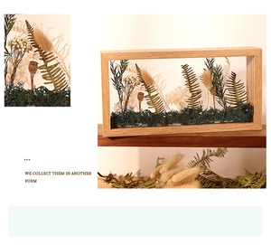Macro view of a rectangular wooden frame featuring dried flowers and moss specimens