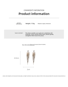 Detail of silver needle tassel earrings with dimensions and 17.9g weight info