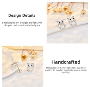 Macro shot of silver owl stud earrings featuring white zircon pavé and black crystal eyes