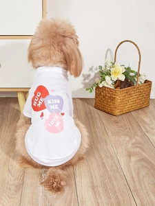 Close-up of dog wearing white mesh T-shirt with colorful heart prints and text
