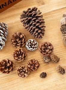 Macro di pigne naturali di varie dimensioni con effetto neve su uno sfondo di legno chiaro