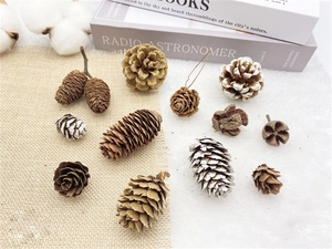 Macro detail of natural dried pine cones with white snow effect on rustic linen cloth