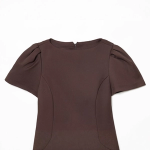 Fashionable dark brown short dress with pleated details and puff sleeves on white background