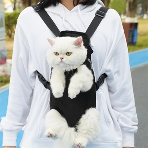 Detail of breathable black mesh pet carrier backpack with white cat in outdoor park