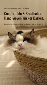 Primo piano di un gatto che dorme in un letto ovale intrecciato a mano in rattan per animali