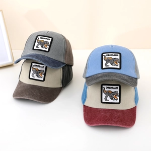 Detailed close-up of color-block baseball caps featuring dinosaur embroidery patches