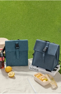 Blue insulated lunch bag with buckle closure shown in a picnic outdoor setting
