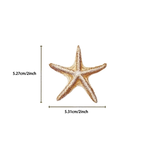 Macro view of transparent starfish sticker showing 2-inch size and realistic texture