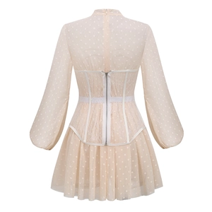 Detail of apricot mesh dress back featuring a metal zipper and waist-cinching design