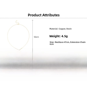 Détail du collier plaqué or 18 carats avec dimensions 47cm plus 6cm de chaîne de rallonge