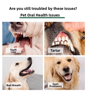Detailed macro view showing canine dental plaque, tartar, and gingivitis for oral care