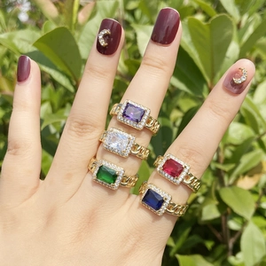 Golden chain rings with colorful rectangular zircon stones worn against green leaves