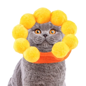 Cute sunflower shaped pet collar hat in soft yellow plush for dogs and cats