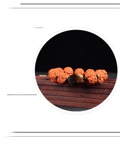 Macro shot of 5-mukhi rudraksha beads with brown agate bead on a dark wooden box