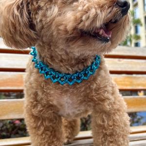 Close-up of a blue metallic heart-shaped chain necklace worn by a brown poodle outdoors