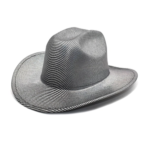 Detail of silver and black striped western cowboy hat with metallic luster finish