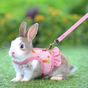 Pink mesh rabbit harness with carrot patterns worn by a small bunny on green grass