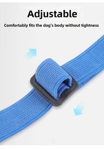 Detail of adjustable blue nylon strap with black plastic buckle for pet muzzle