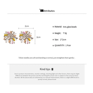 Floral earring specs showing iron material glass beads 2x2cm size and 7.5g weight detail